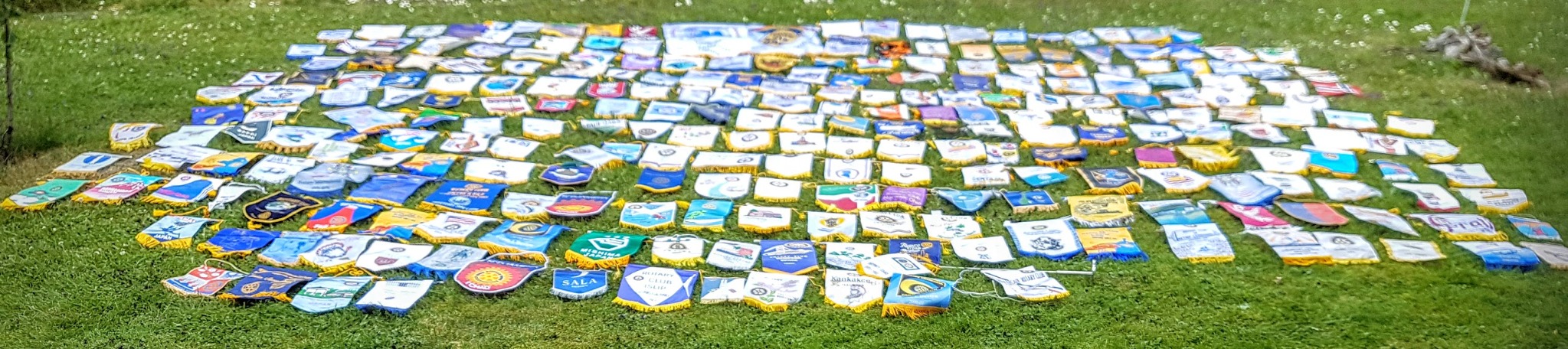 En stor samling Rotaryklubbars standar utlagda på gräs